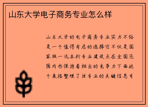 山东大学电子商务专业怎么样